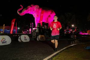 BIB: 
                            <button type="button" onclick="openModal(26534892)" class="btn btn-primary btn-sm float-right btn-popup" data-toggle="modal" data-target=".modal-high-quality">
                        <i class="fas fa-shopping-cart"></i> Add to Cart
                    </button>
                                            <button type="button" onclick="isThisMe(26534892, true)" class="btn btn-success btn-sm float-right btn-popup btn-isme hidden" data-toggle="tooltip" data-placement="bottom" title="นี่คือรูปของคุณใช่ไหม คลิกที่นี่เพื่อเอาเข้าอัลบั้ม">
                        <i class="fas fa-plus"></i> Add to album
                    </button>
                    <button type="button" onclick="isThisMe(26534892, false)" class="btn btn-warning btn-sm float-right btn-popup btn-isnotme hidden">
                        <i class="fas fa-ban"></i> Remove from album
                    </button>